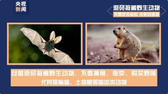 今日动物爆料最新消息新闻,最新奇特的动物新闻盘点  第2张 今日动物爆料最新消息新闻,最新奇特的动物新闻盘点  第2张
