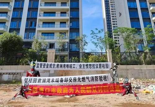 海口碧桂园爆料最新消息,揭秘项目最新进展与亮点  第2张 海口碧桂园爆料最新消息,揭秘项目最新进展与亮点  第2张