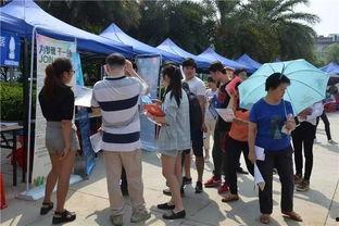 广西玉林最新吃豆腐爆料,广西美食界的创新风暴来袭  第2张 广西玉林最新吃豆腐爆料,广西美食界的创新风暴来袭  第2张