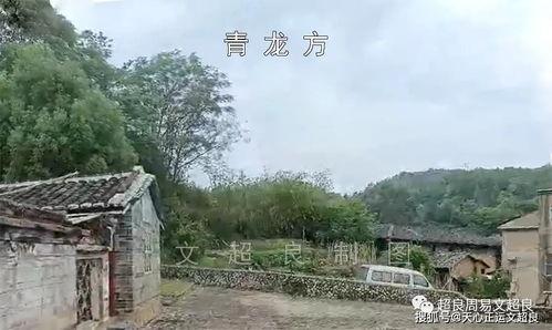 桉氏夫妇爆料了吗视频,揭秘背后惊人真相  第3张 桉氏夫妇爆料了吗视频,揭秘背后惊人真相  第3张