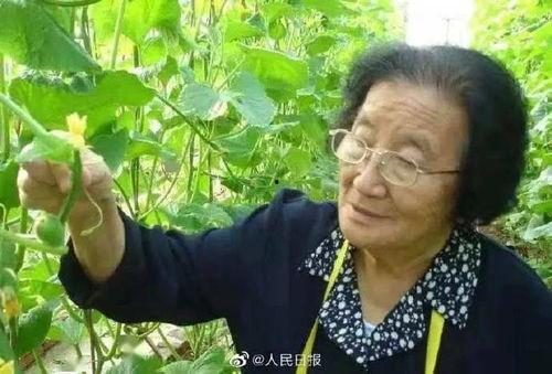 娱乐吃瓜酱人多的地铁,娱乐吃瓜酱成热门话题  第2张 娱乐吃瓜酱人多的地铁,娱乐吃瓜酱成热门话题  第2张