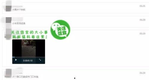 网友爆料视频来源于网络,网络视频揭露惊人真相!