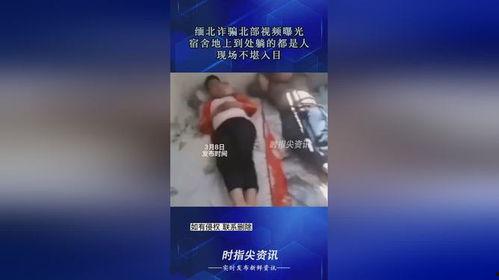 爆料缅北诈骗视频,视频曝光惊人内幕  第3张 爆料缅北诈骗视频,视频曝光惊人内幕  第3张