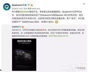 打假内鬼爆料视频大全,视频大全背后的真相与警示  第2张 打假内鬼爆料视频大全,视频大全背后的真相与警示  第2张