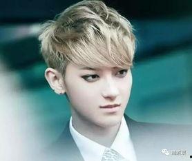 爆料娱乐圈侯明昊,揭秘明星背后的故事  第2张 爆料娱乐圈侯明昊,揭秘明星背后的故事  第2张