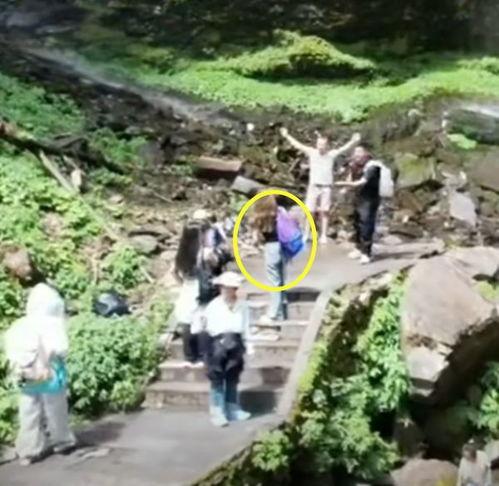 泰安景区爆料事件视频播放  第2张 泰安景区爆料事件视频播放  第2张